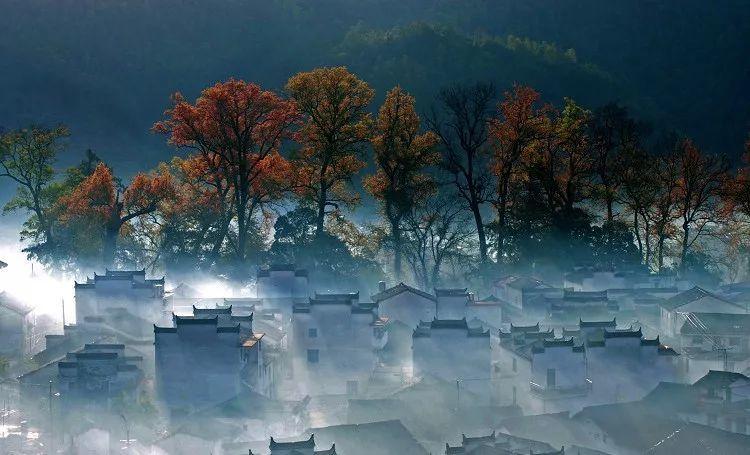 twenty是什么意思?——知识星球平台,精选优质内容